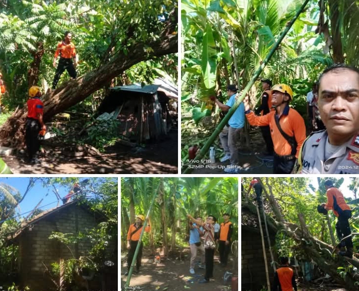 Langkah cepat tim relawan kebencanaan bersama BPBD Karangasem